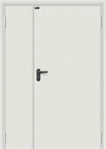 Противопожарная дверь RAL 7035 / серия FRM55554
